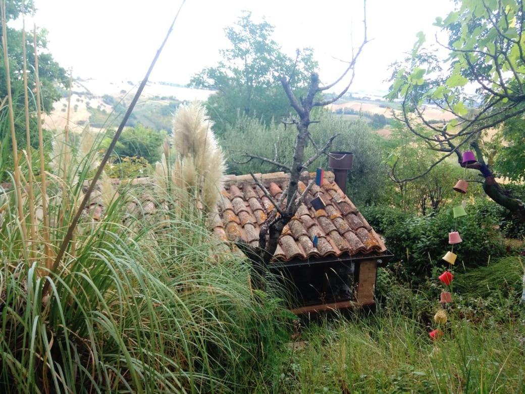 Ca Bubo Country house *